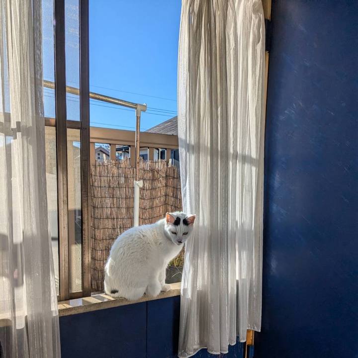 1bdbc008 864d 4510 9ed7 68a7ffd59a9e 1734999422008