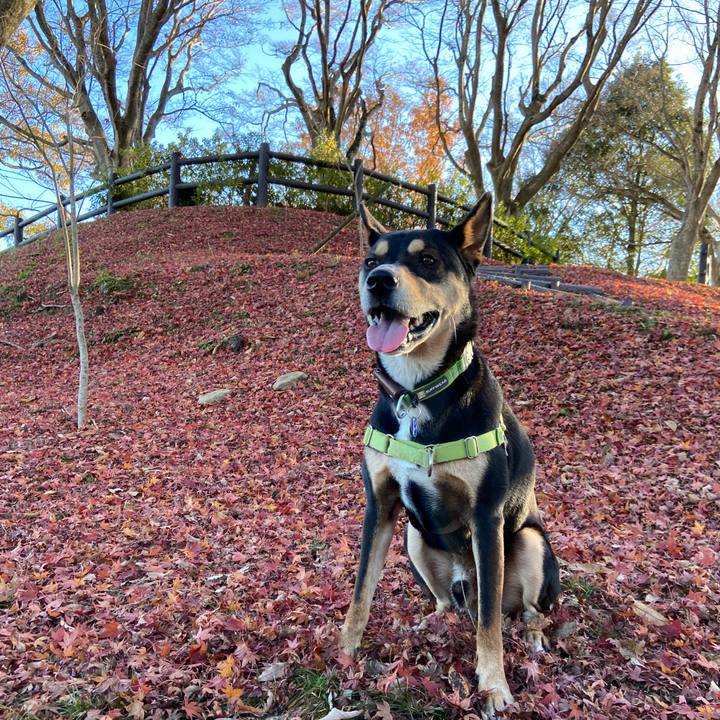 1bdbc324 1f70 4e34 b398 774e8ff34d2f 1638189032660