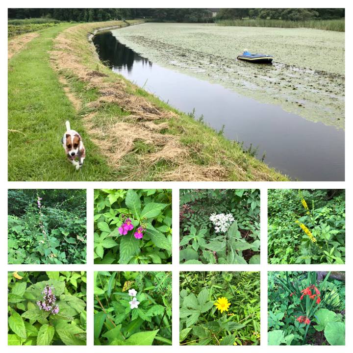 1bdbd230 9d94 4903 a89b 986c89e4efee 1596784137554