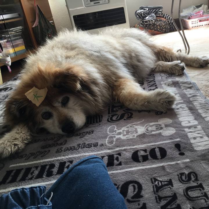 1bdbe288 5bc1 493f bcf3 b996e7448dae 1563358765893