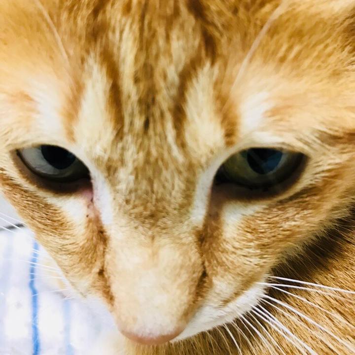 1bdc0345 6a1b 46de ba2c 6fdb12fce178 1529759466518