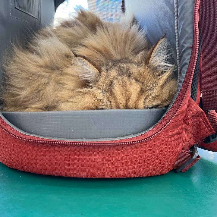 1bdc1ac2 9ce1 4bbf 9c4a 6872599175b9 1644580145933