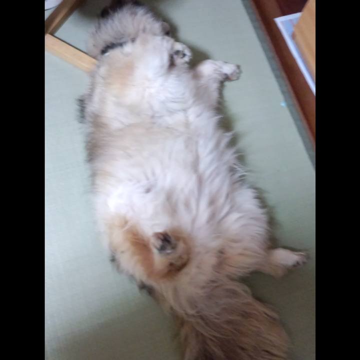 1bdc1d28 448c 4b2d 8645 df5f6402c285 1657793602409