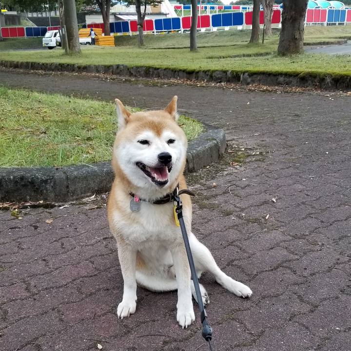 1bdc2466 3e88 4017 b791 304323b3e712 1600154193001