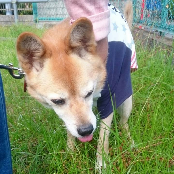 1bdcd8aa a80f 4496 8b97 a35fbc7cb17d 1510382875979