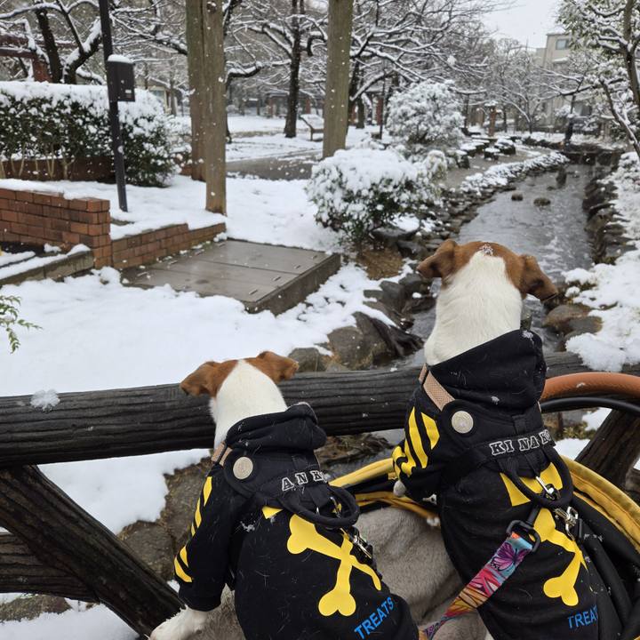 1bdcdbcb 56b4 4995 93ae 3a49213e8c4e 1770533131076