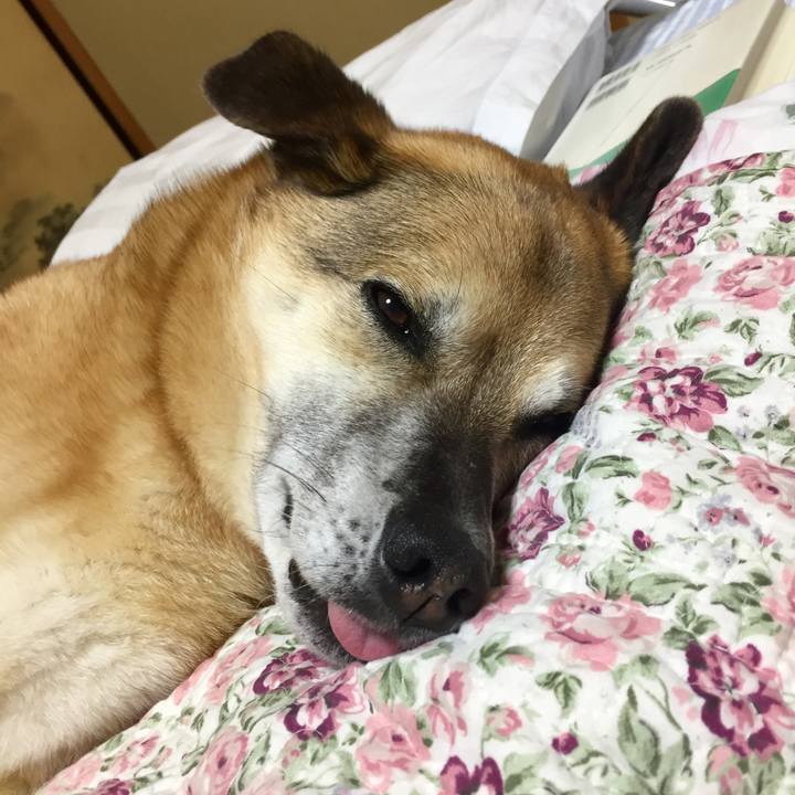 1bdcdc7a c553 4a5d 8fd9 eb58d7015750 1559219221738