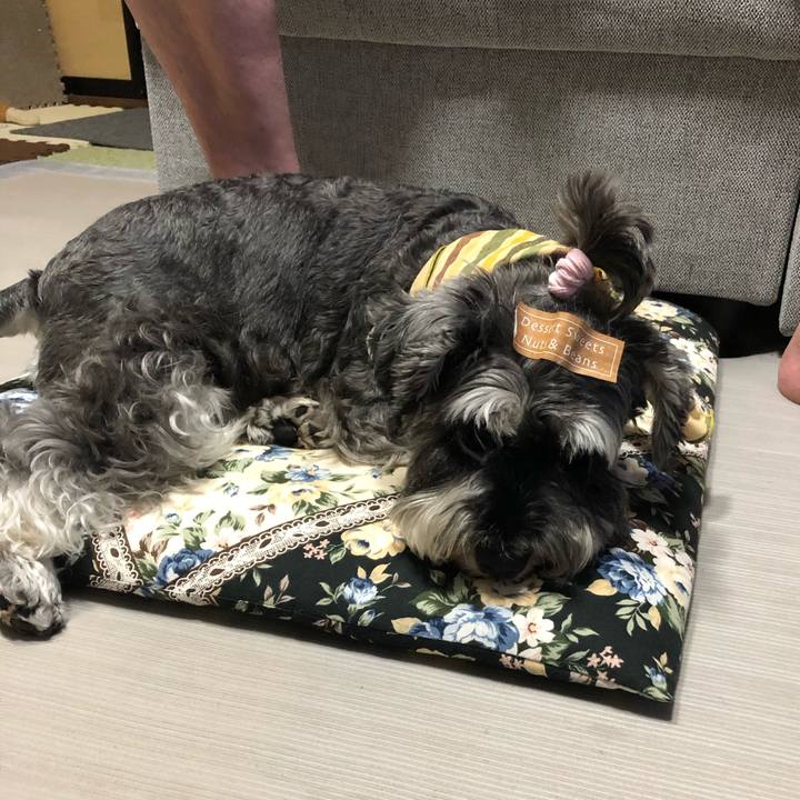 1bdcfdc5 8517 4bc6 a07e ea904cce445d 1627564312183