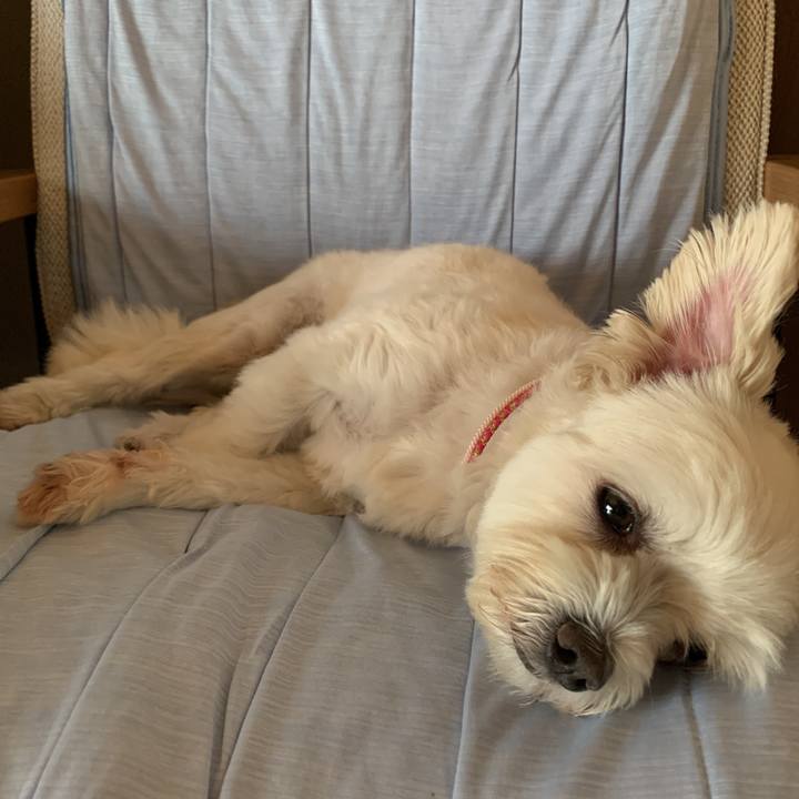 1bdd0c53 87f2 4dc3 a6ce 955f52c50122 1597555640144