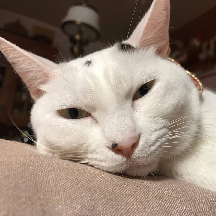 1bdd2f4d 2ed0 4465 838a 807f0b49ab90 1567162697080