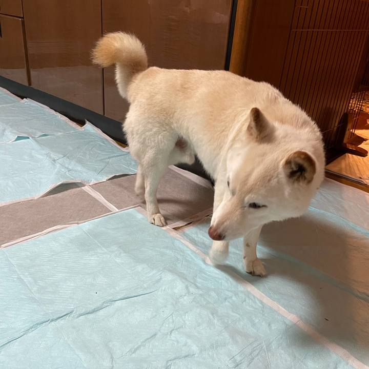 1bdd562f 9546 41ed a02d 05b2840961c7 1634217165991