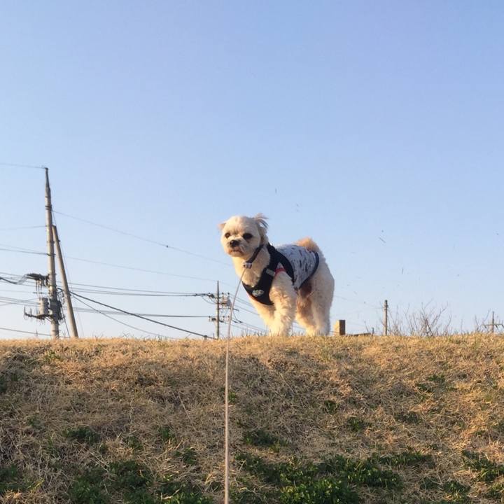 1bdd6991 1d17 4fd1 96d9 265964a4c33b 1521974313682