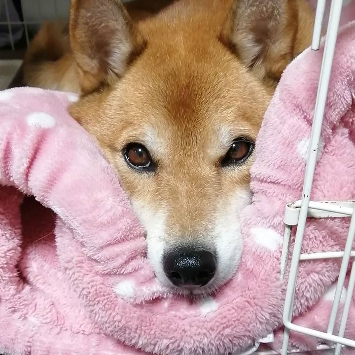 1bdd6cd6 2614 43ba a142 f44f25fc7914 1602056399694