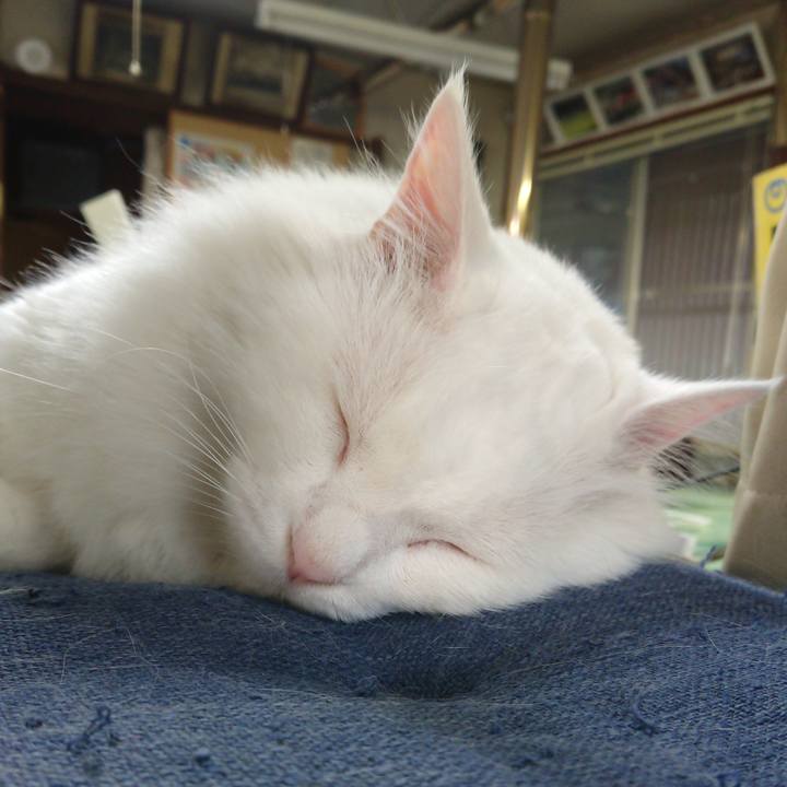 1bdd70f5 8b2b 4ba0 ab73 b2497ee1f7cf 1533508029373