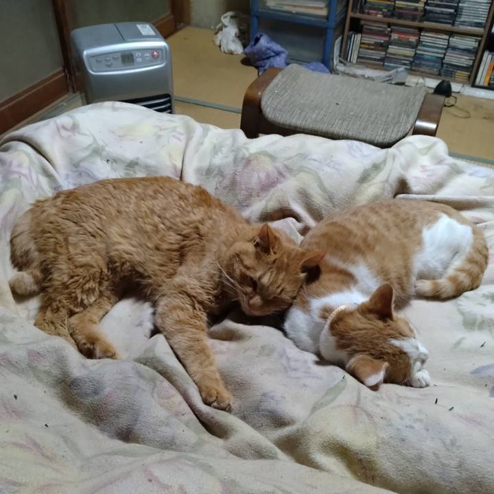 1bdd8003 64f7 43e1 86c9 2a574f1997ed 1733316745773