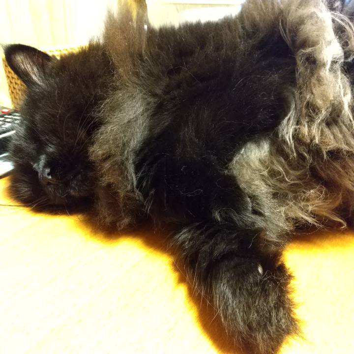 1bddac78 e129 450f 958c 7b3c874451e5 1598357928187