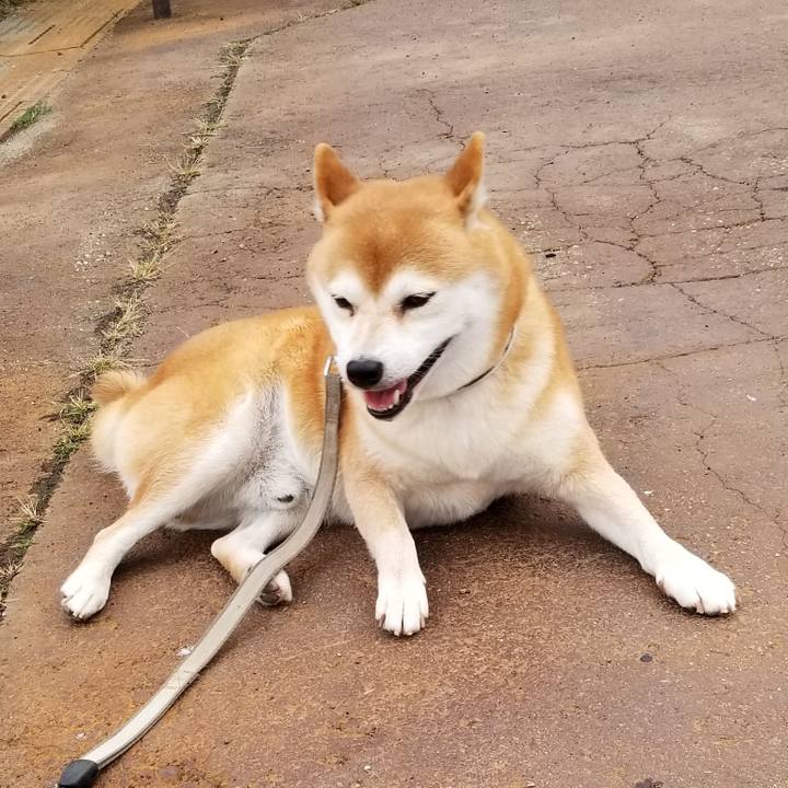 1bddd2b0 1ab9 46fb be0e cb87ad68a9fc 1535447580899