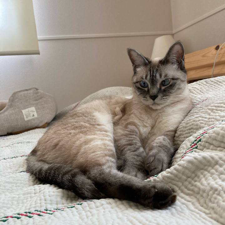 1bde0925 089c 4ec4 be07 3d982ab55ec6 1717816118343