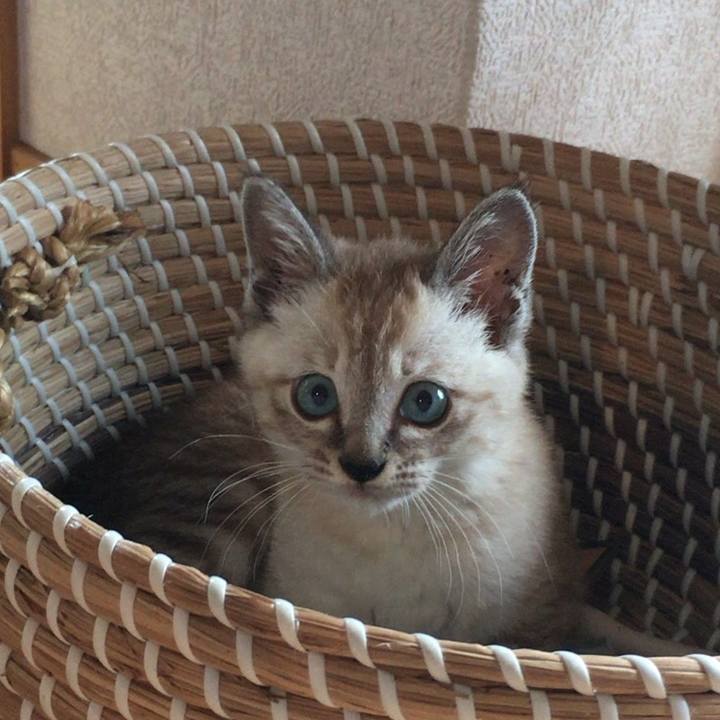 1bde164a 3ef7 4a76 a315 03e3bc5fc48b 1531882043200