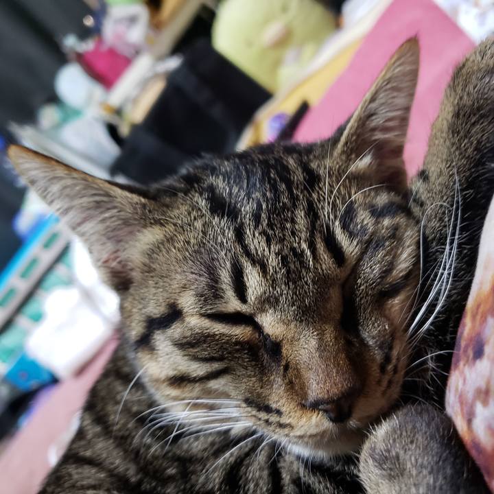 1bde262b 34a2 46d0 beb7 0e91e303aec8 1543674859040