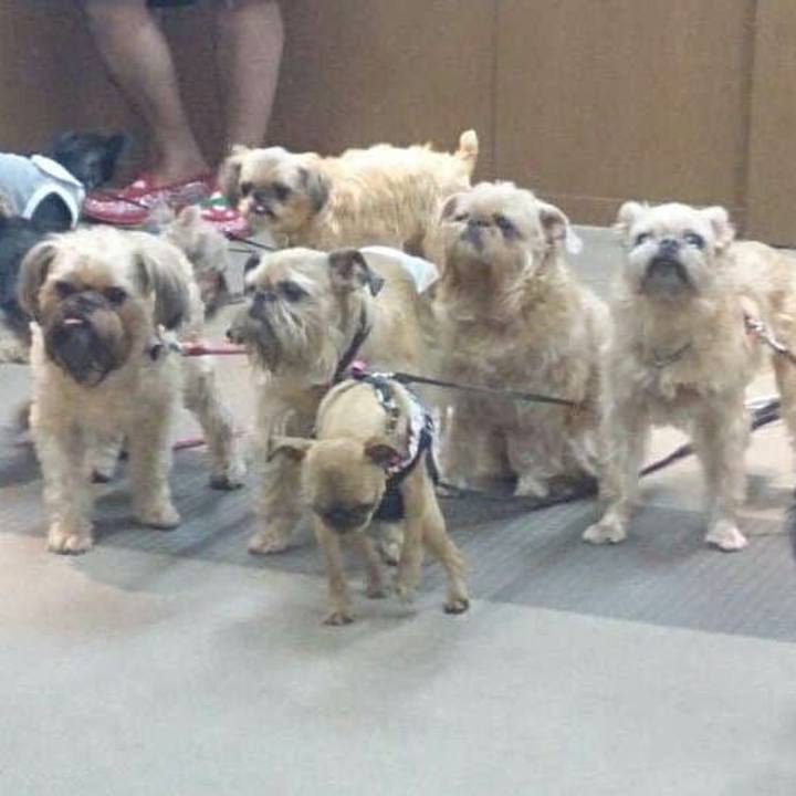 1bde2c76 d1b9 4869 810c 5c7d44ea9a82 1596073747362