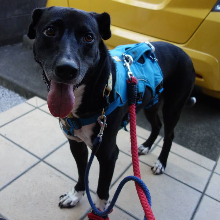 1bde84c4 f407 45e5 b349 edda052df79c 1624269148662