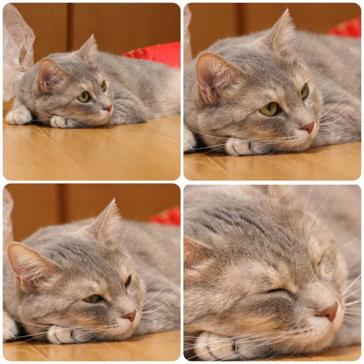 1bdeb87a 84ab 4114 aeb2 b60f23c37063 1562816634191