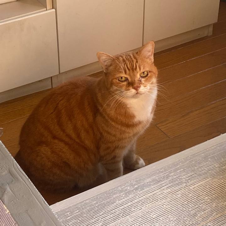 1bdec58f 76c3 4897 835f 681707629850 1673295819127