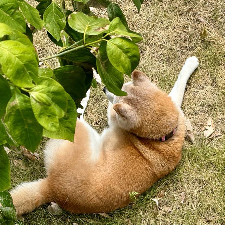 1bdefab7 e47b 4b98 9573 7ef3b67073d4 1756999793137