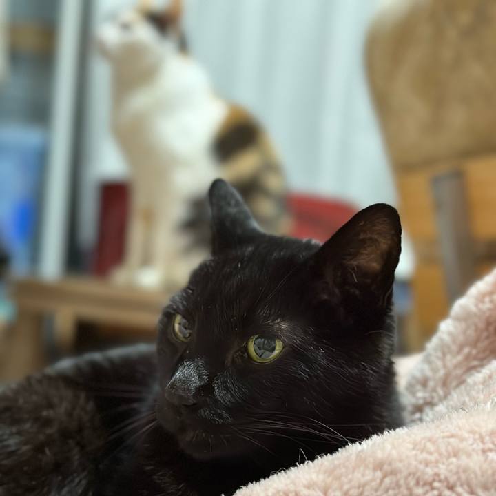 1bdf1e4c 4cc0 4603 b688 2ca60164540e 1678154150874