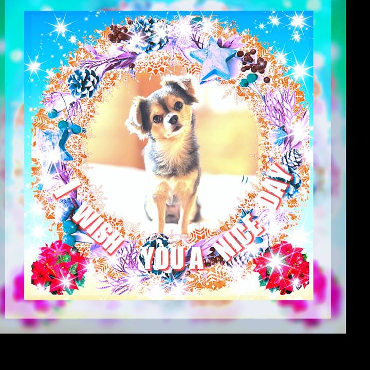 1bdf49c6 2a58 42b3 bff3 297734d05642 1605581566173
