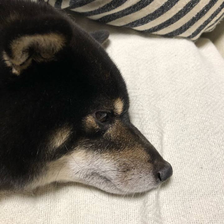 1bdf59e4 d5be 4533 abe3 6a03fc096e9c 1537264441890