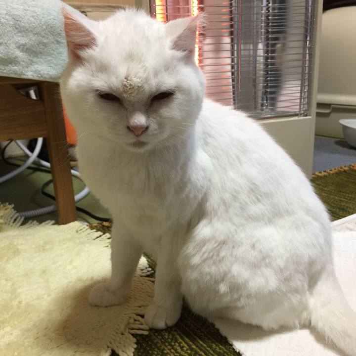 1bdfba17 a71f 421b 95f6 2adb64417a1c 1508656250737