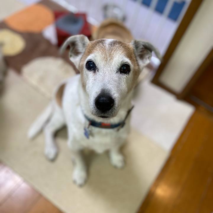 1bdfbf9e bbb4 4ca3 8ad2 dc9487b5a77a 1656667802444