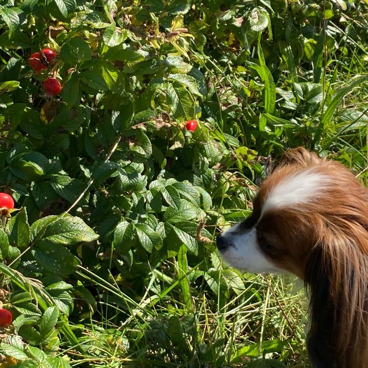 1be03ceb b7cf 4a82 be7c 543b4b957ff0 1632098434441