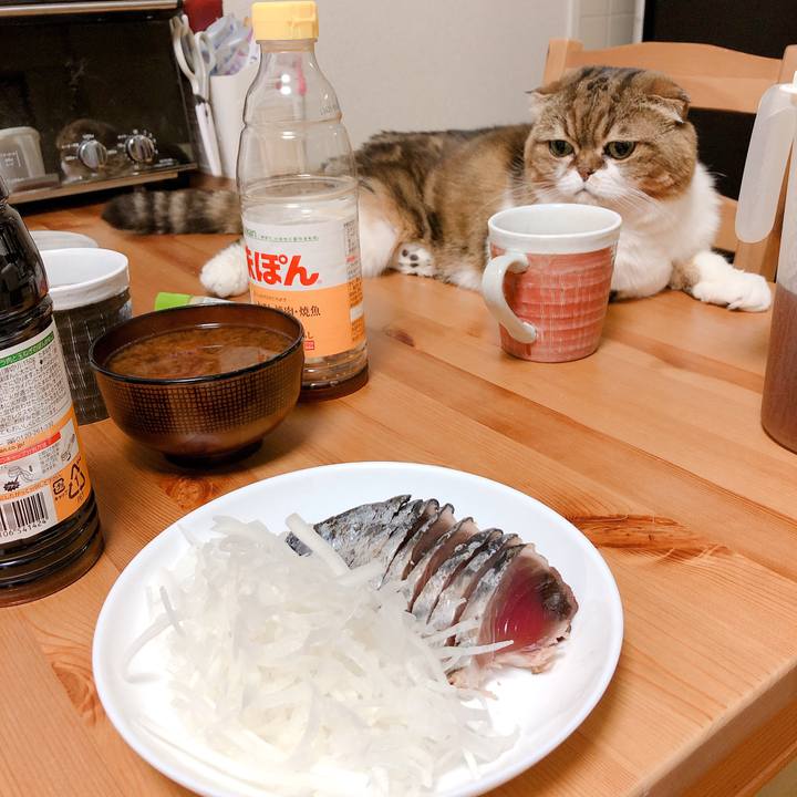 1be0e7f6 bc1c 4b1c b574 69faa9cb75da 1565008461211