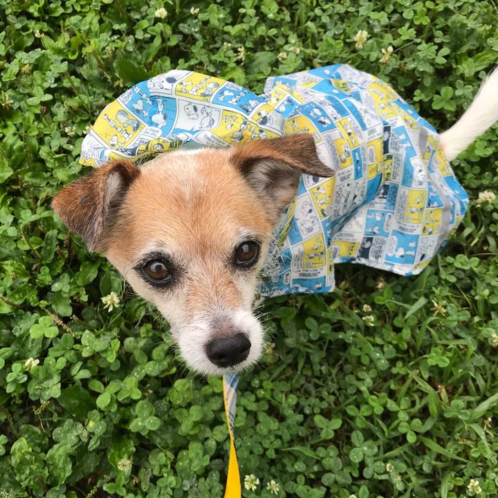 1be0fcd7 98e2 4cdd 8d75 ca5d03f6defc 1625446815315