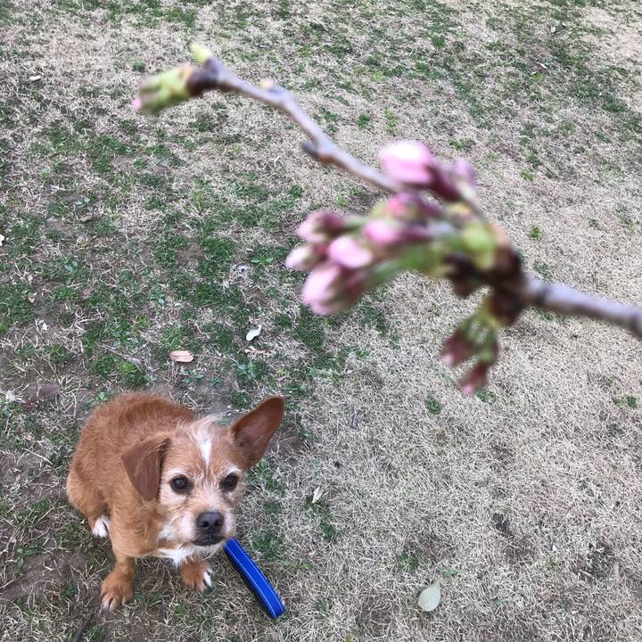 1be10f55 4247 464e b9c1 5a50132e9cca 1616057776984