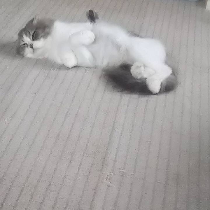 1be126e9 b06d 4f61 93dd 469b6c26892c 1625152182525