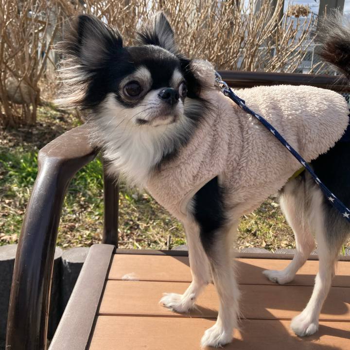 1be12c31 1df1 49cb 8765 695fe485bfc1 1644135363130