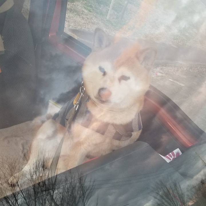 1be1482c 7ba3 4366 b0d7 6d43e32a0f9a 1639207724724