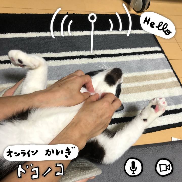 1be14db7 8c43 49c9 913c 583135da2869 1590708027383