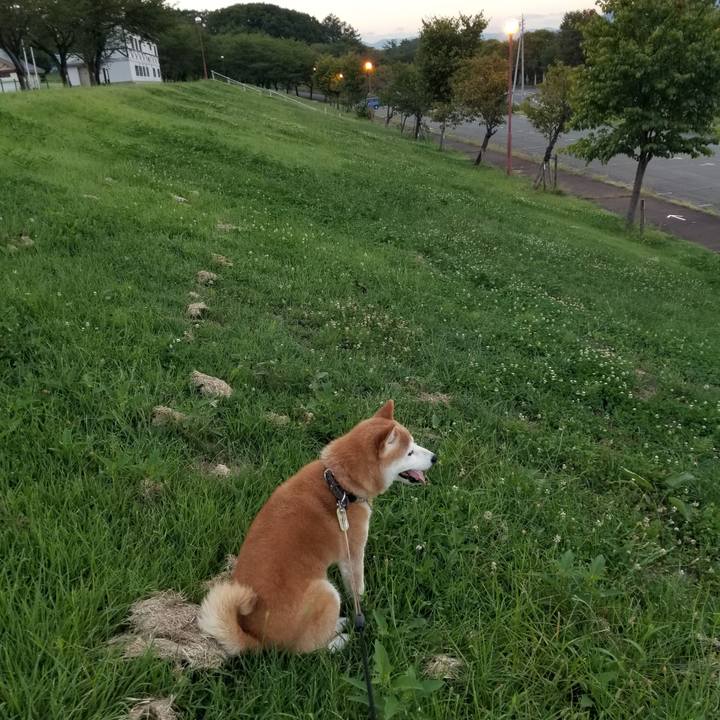 1be1f3cb 66ac 4d9a a6e9 af13ee79def6 1662368535091