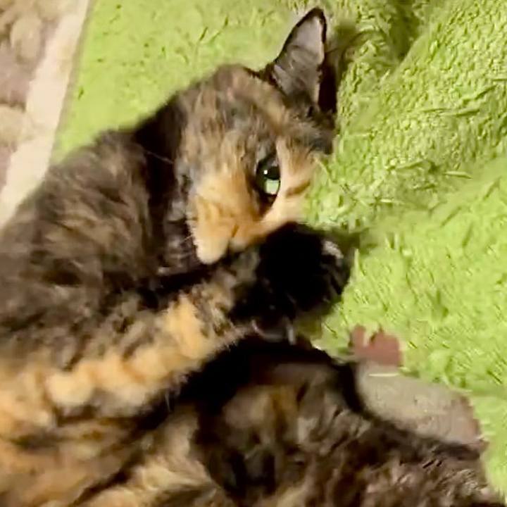 1be24912 8d5d 49b7 b554 5100d7cedb47 1764191015387