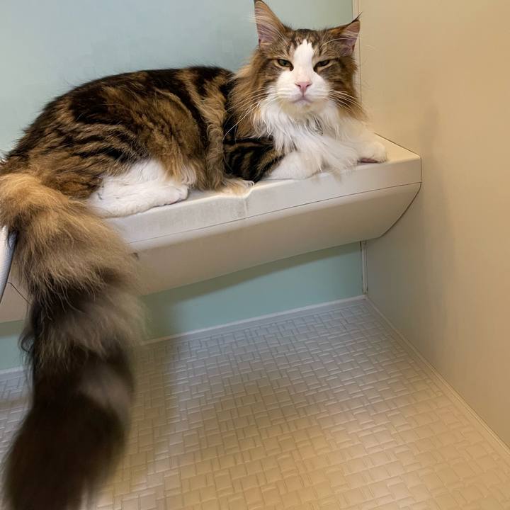 1be27375 ac29 4e32 8145 c643b097e879 1646824351619