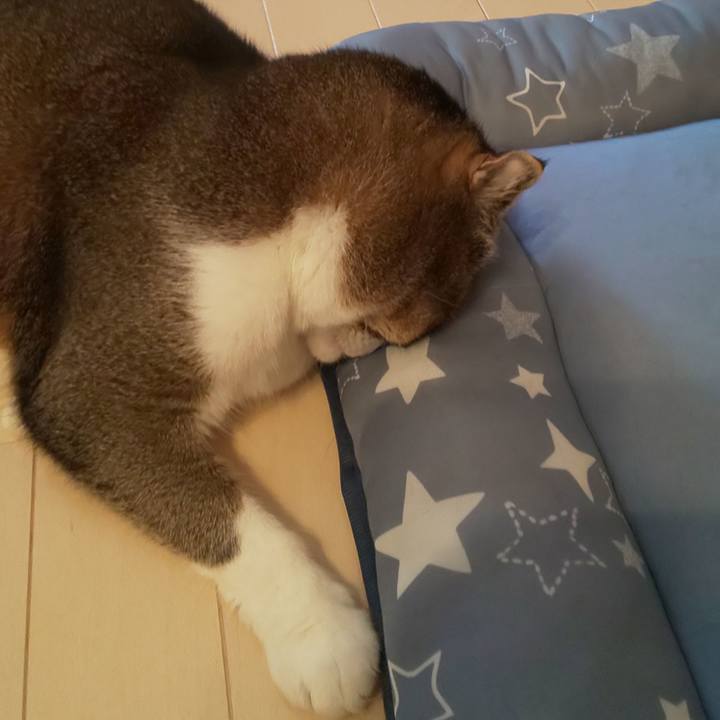 1be27f6b ce34 41f9 bb5e 68771e0c4601 1599264282566