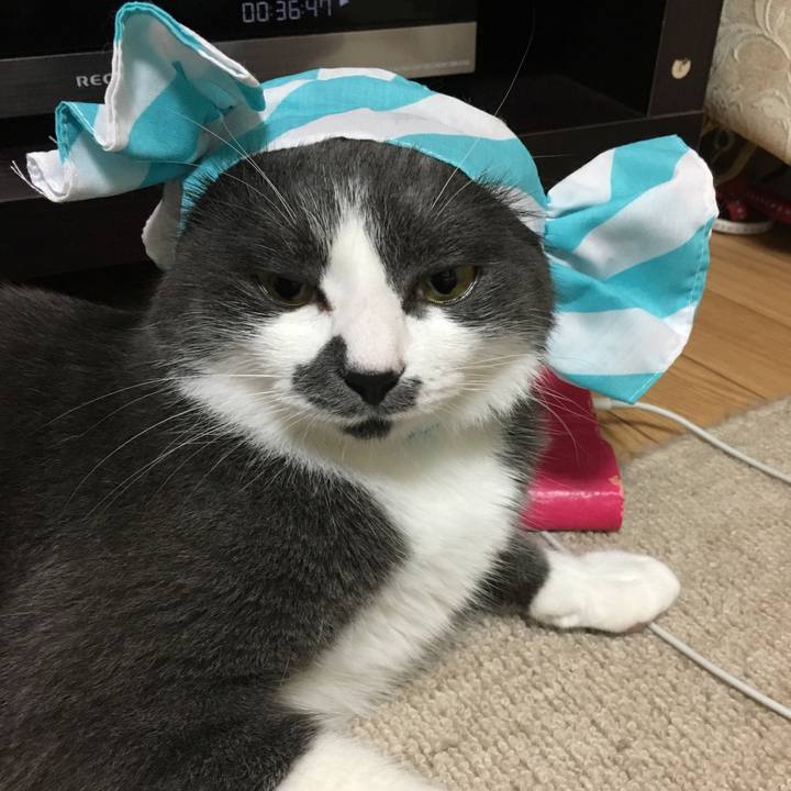 1be2dac9 ac5b 47a1 82cf 2da1ef10ba32 1532186667096