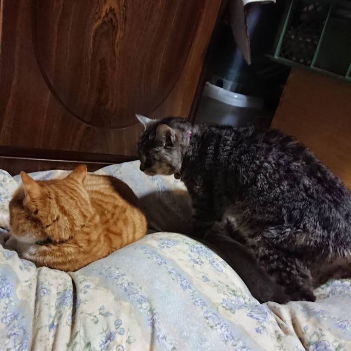 1be32e50 bd32 4966 9bca 18c9d5845712 1582113128491