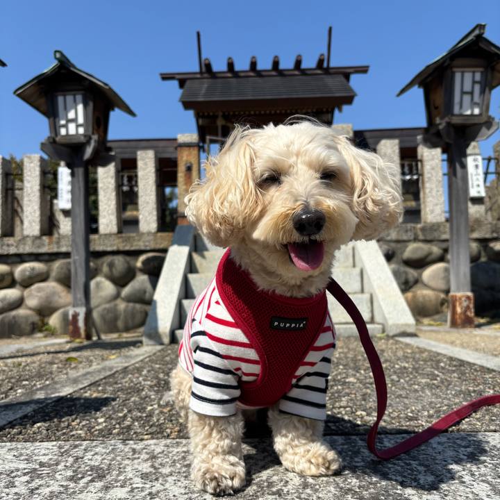 1be37ed6 bc81 4405 8753 31c10d84dff6 1774084776221