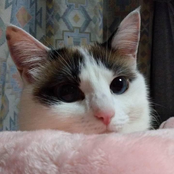 1be391fa 6633 4ed1 85a0 ad1dbdda8103 1619970161380